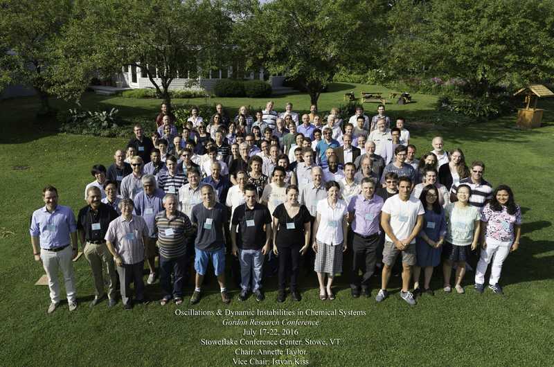 2016 Gordon Research Conferences: Oscillations & Dynamic Instability In Chemical Systems - Group 