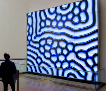 Emergent dynamic patterns are displayed on a high resolution wall of 24 screens at the Museum of Science in Boston as part of the Reaction-diffusion Media Wall exhibition.