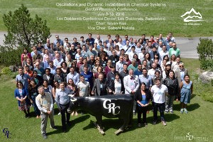 2018 Gordon Research Conferences: Oscillations & Dynamic Instability In Chemical Systems - Group