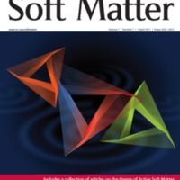 2011_Chen+more+Vliet_SoftMatter-CovePage.png