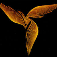 M1 - &#039;Three-winged&#039; pattern of a chaotic attractor.